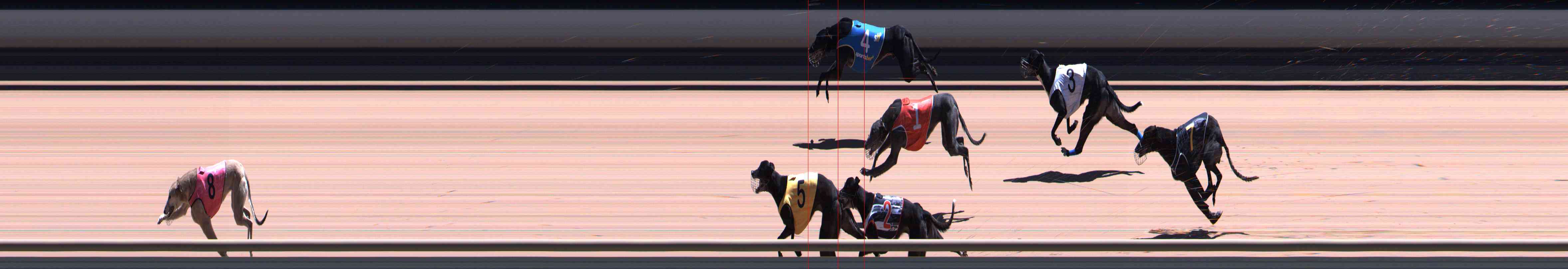 Photo finish for Healesville Race 11