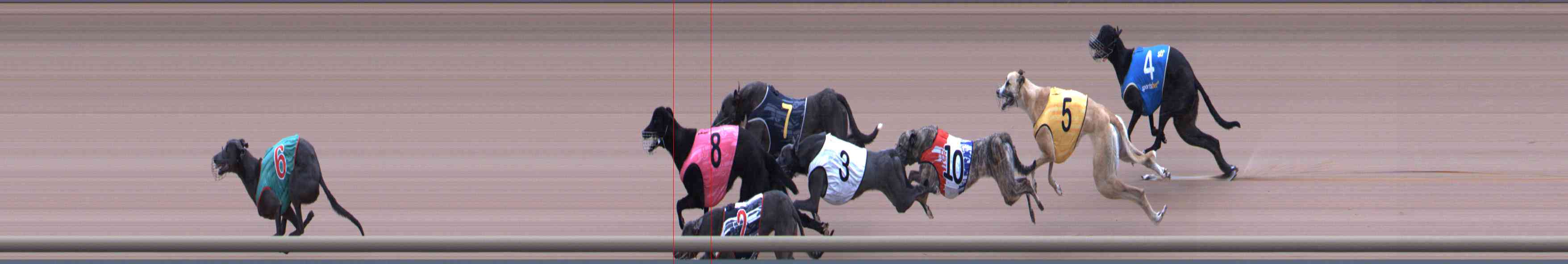 Photo finish for Healesville Race 1