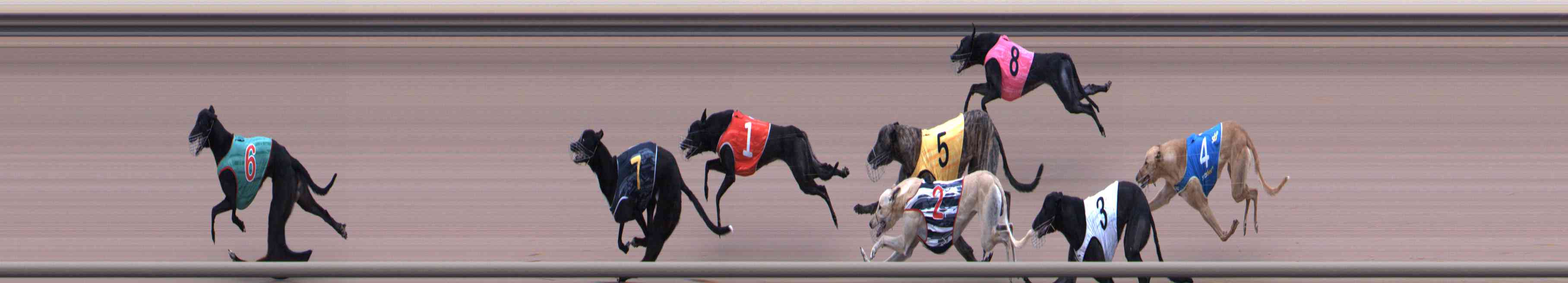 Photo finish for Healesville Race 2