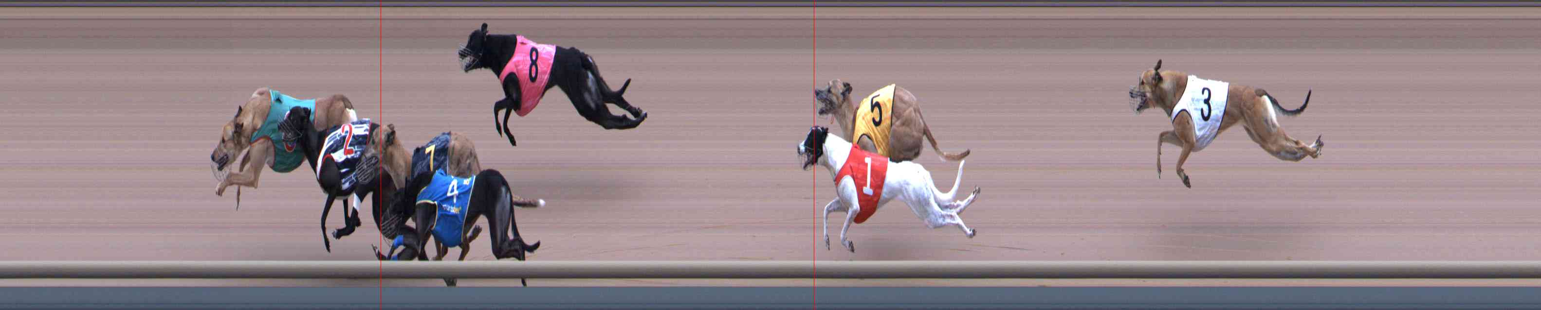 Photo finish for Healesville Race 3