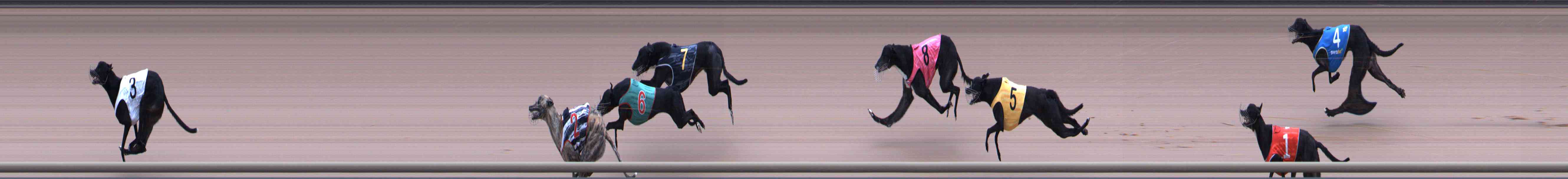 Photo finish for Healesville Race 4