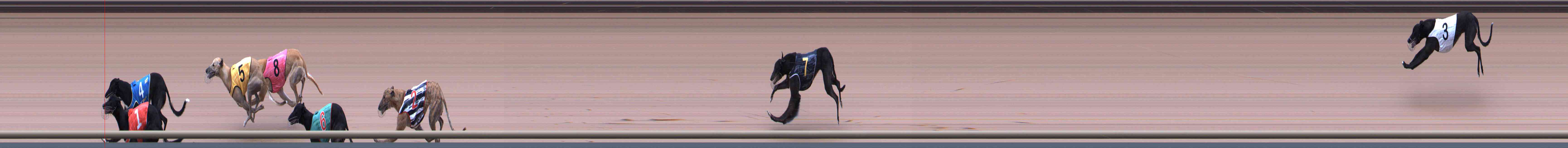 Photo finish for Healesville Race 6