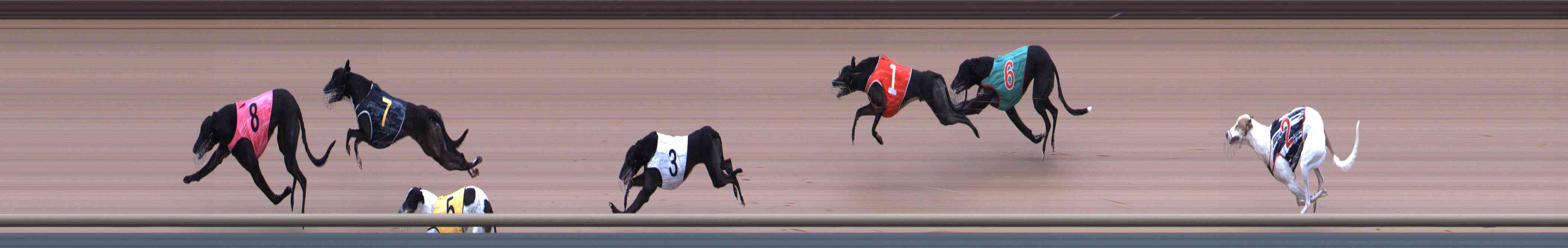 Photo finish for Healesville Race 7
