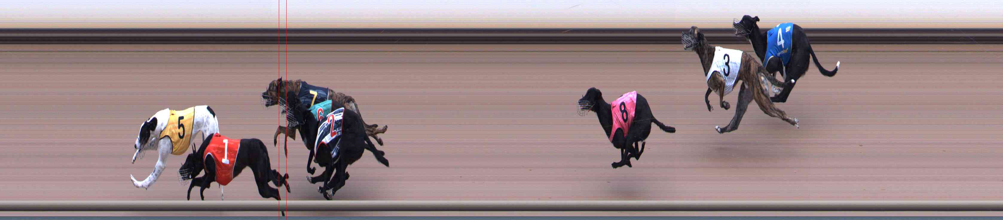 Photo finish for Healesville Race 8