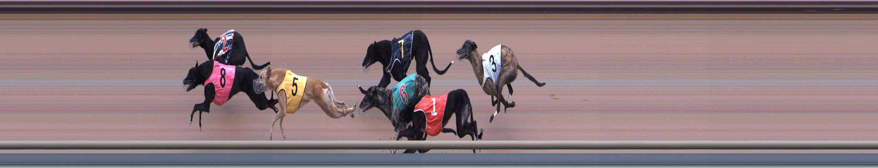 Photo finish for Healesville Race 10