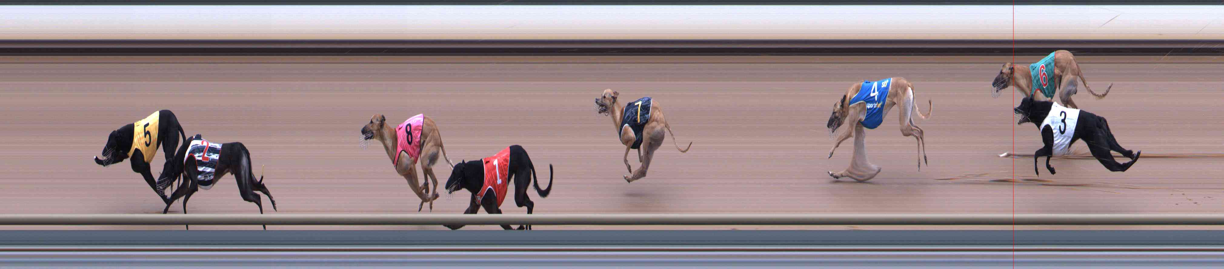 Photo finish for Healesville Race 11