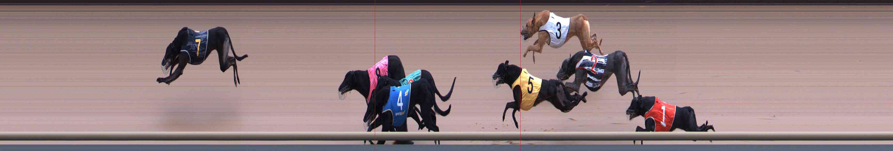 Photo finish for Healesville Race 12