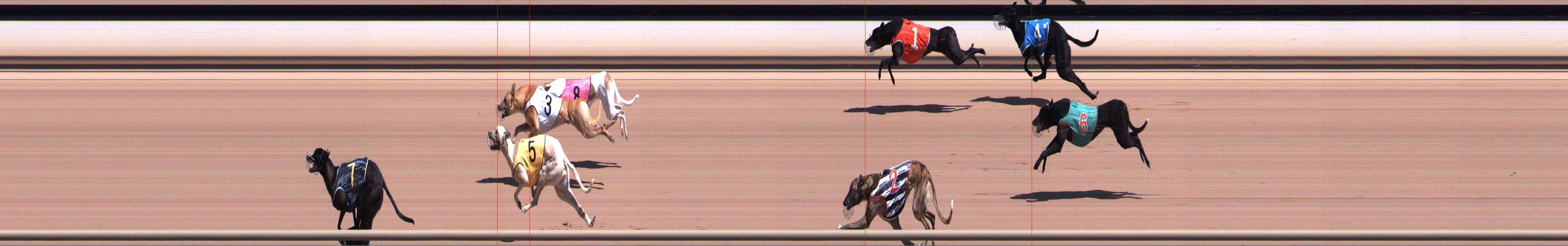 Photo finish for Healesville Race 1