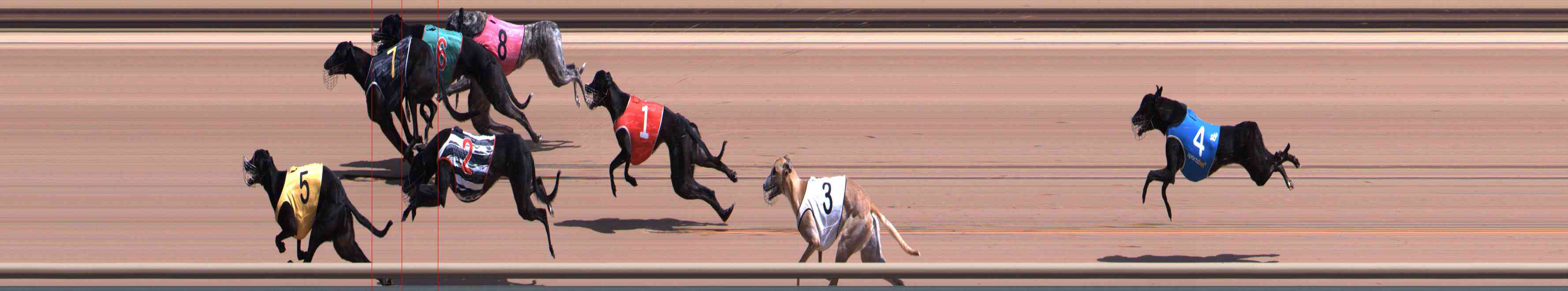 Photo finish for Healesville Race 2