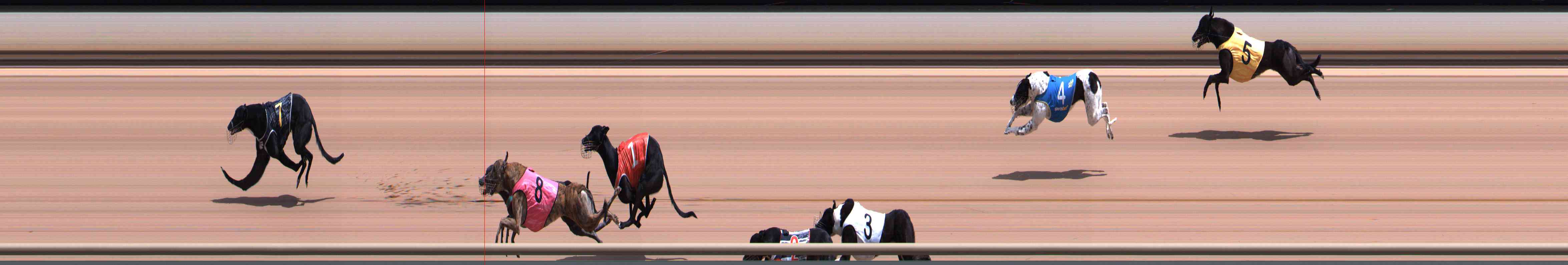 Photo finish for Healesville Race 3