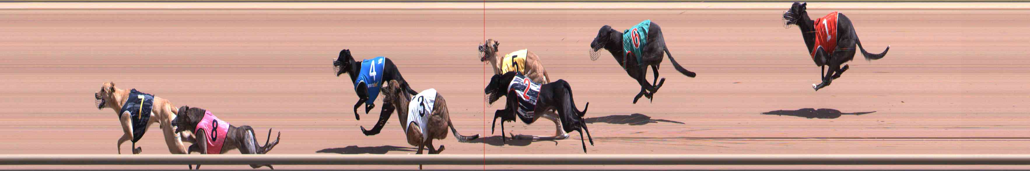 Photo finish for Healesville Race 4