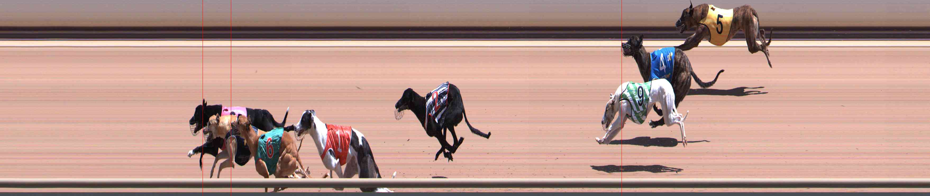 Photo finish for Healesville Race 5