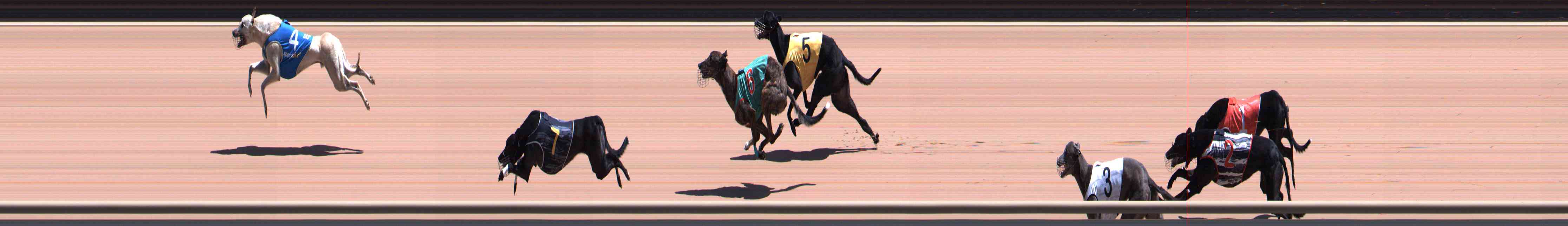 Photo finish for Healesville Race 6
