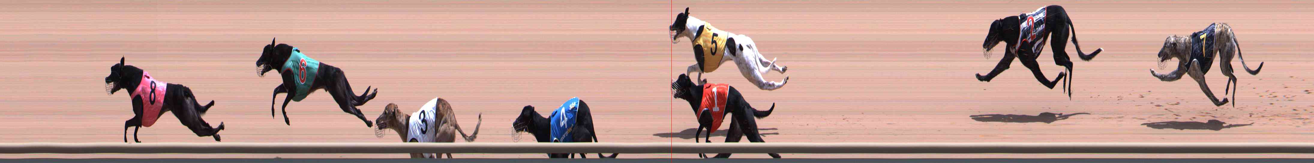 Photo finish for Healesville Race 7