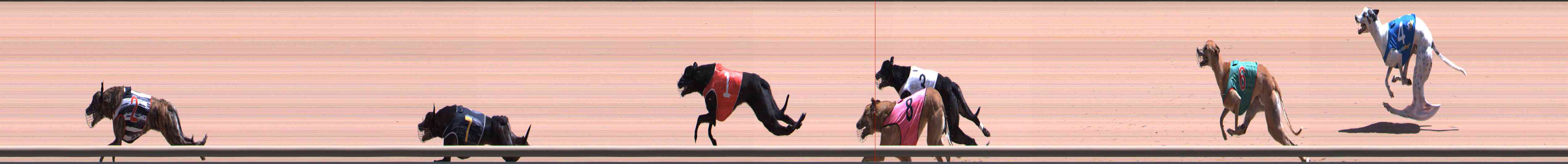 Photo finish for Healesville Race 8