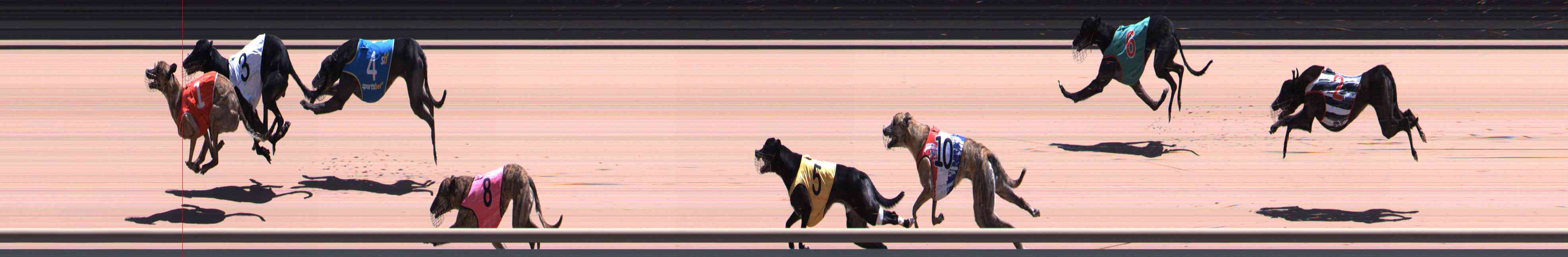 Photo finish for Healesville Race 9