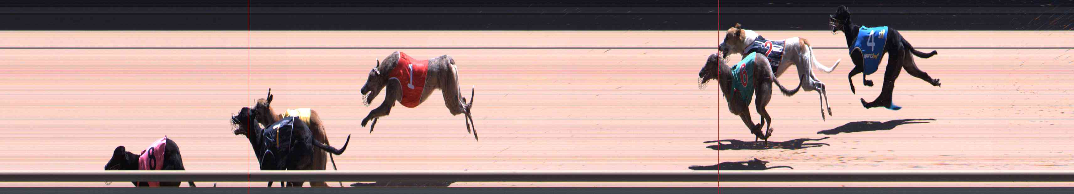 Photo finish for Healesville Race 10