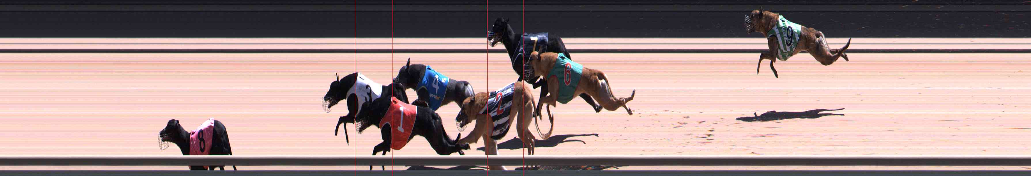 Photo finish for Healesville Race 11