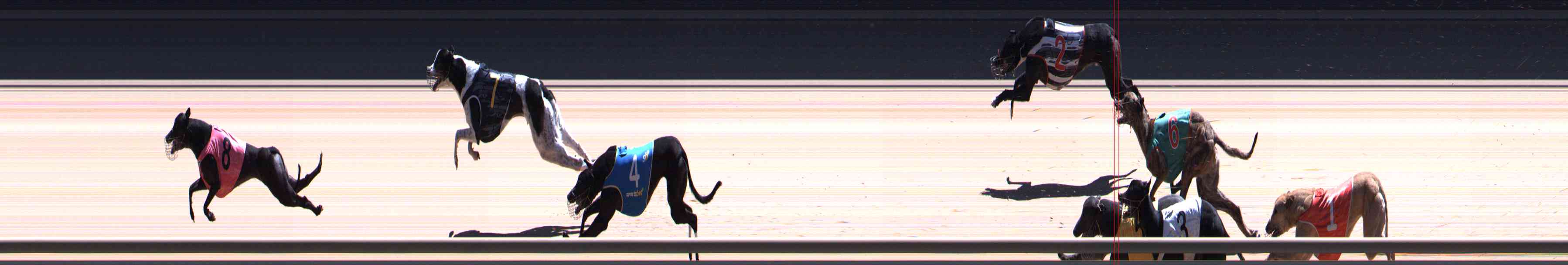 Photo finish for Healesville Race 12