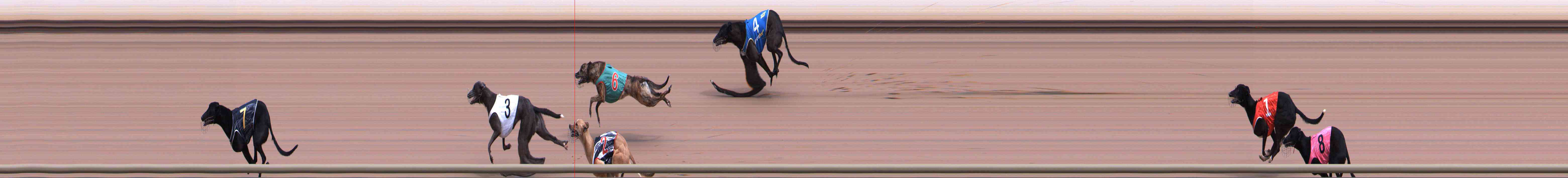 Photo finish for Healesville Race 1