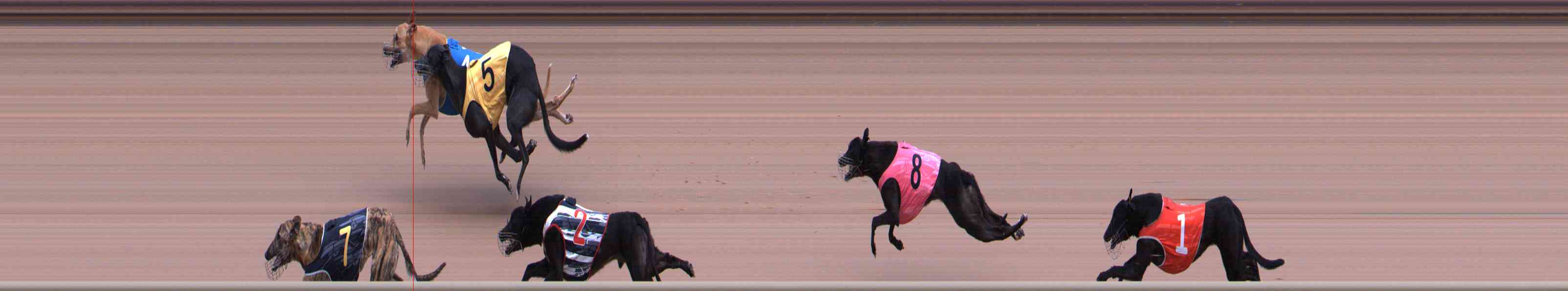 Photo finish for Healesville Race 2