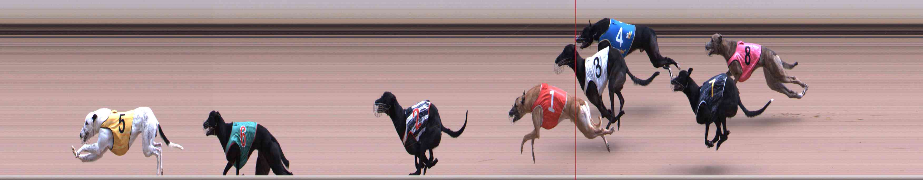 Photo finish for Healesville Race 3