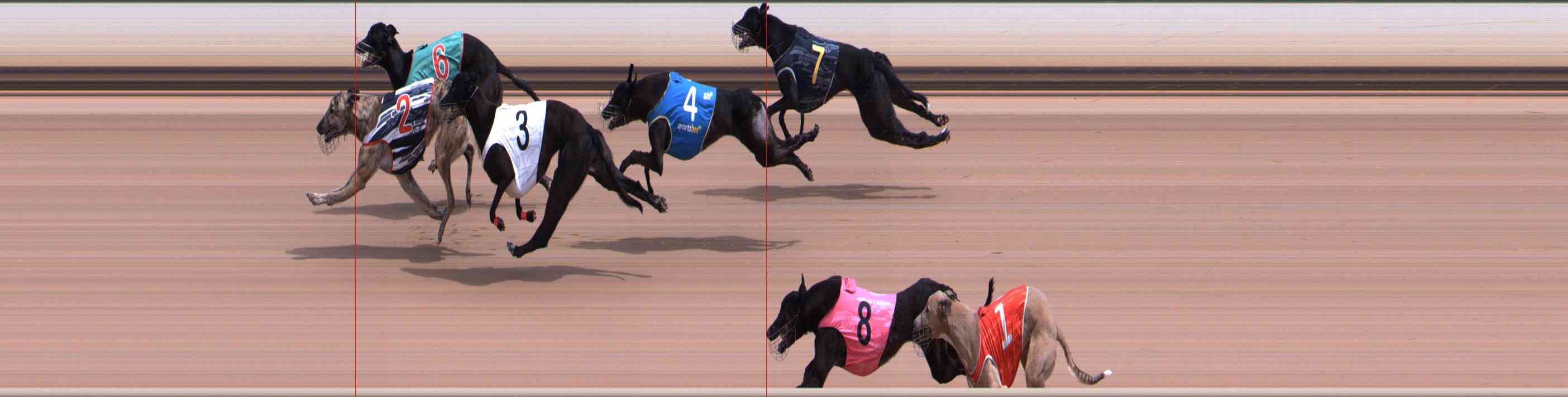 Photo finish for Healesville Race 4