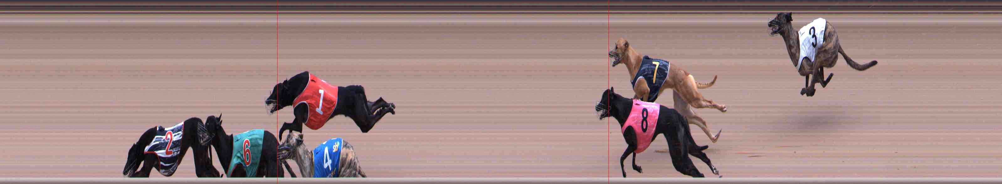 Photo finish for Healesville Race 5