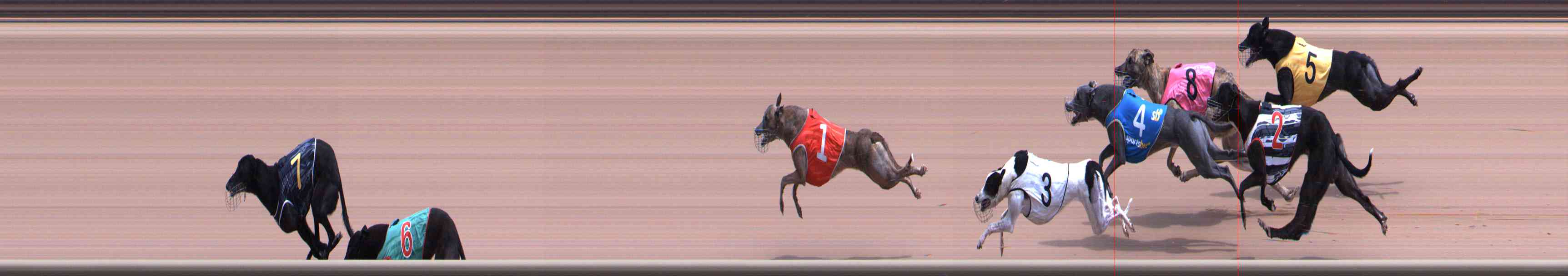Photo finish for Healesville Race 6