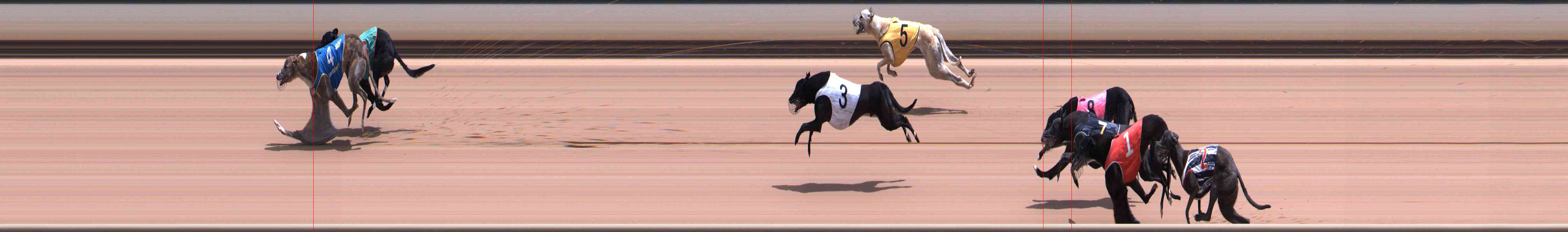 Photo finish for Healesville Race 7