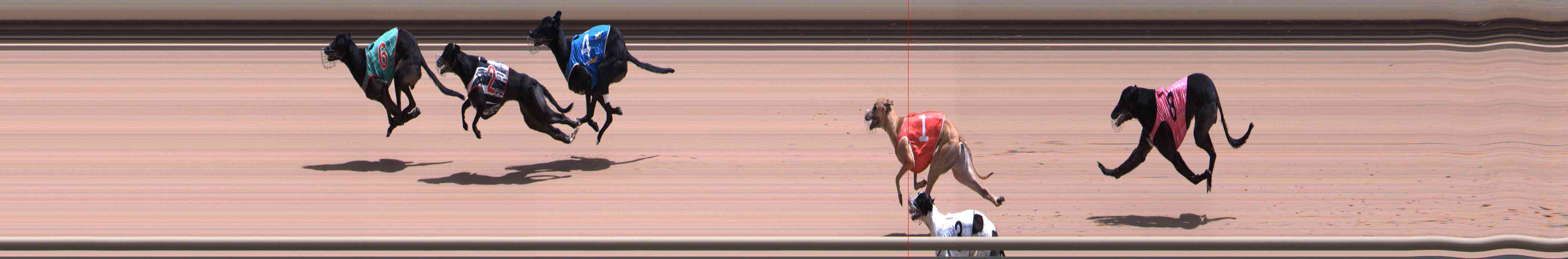 Photo finish for Healesville Race 8