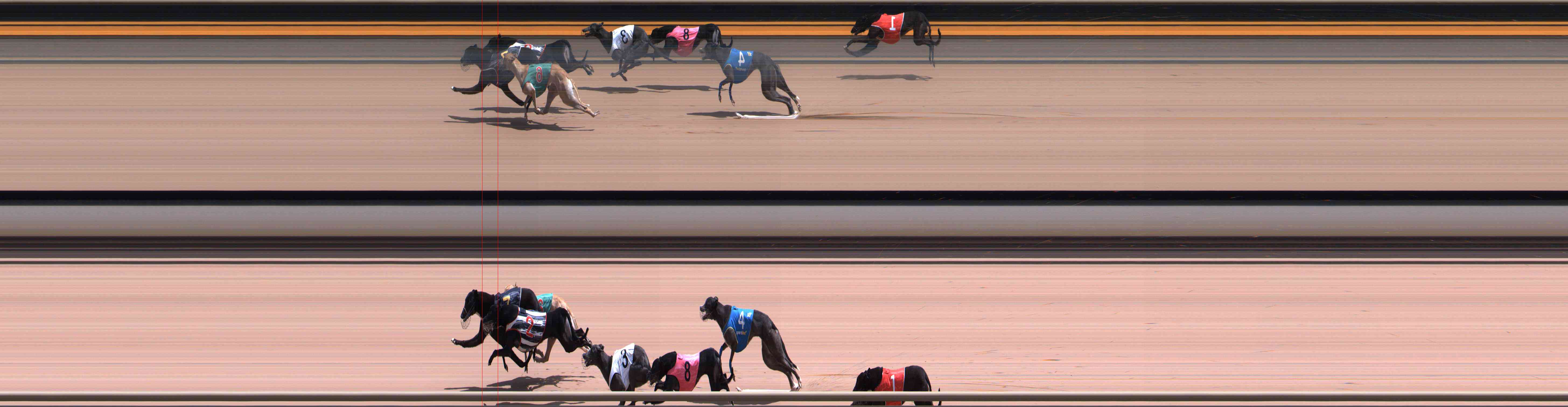 Photo finish for Healesville Race 9