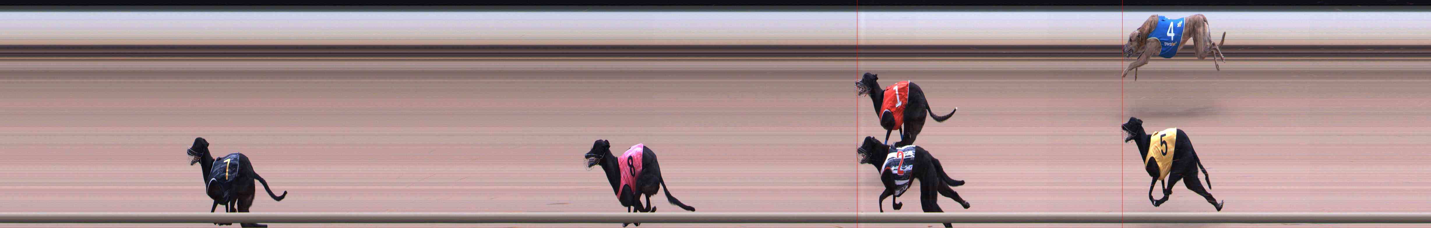 Photo finish for Healesville Race 10