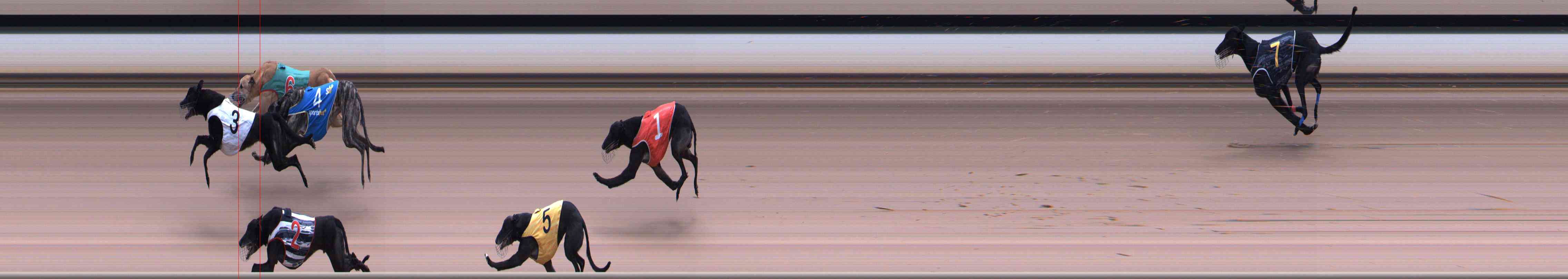 Photo finish for Healesville Race 12
