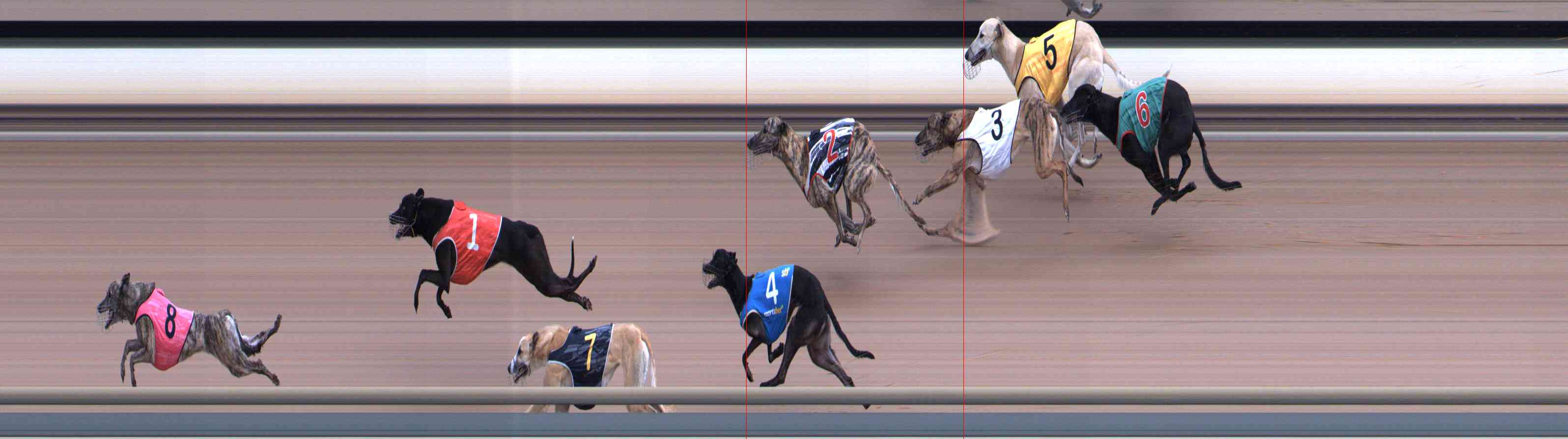 Photo finish for Healesville Race 1
