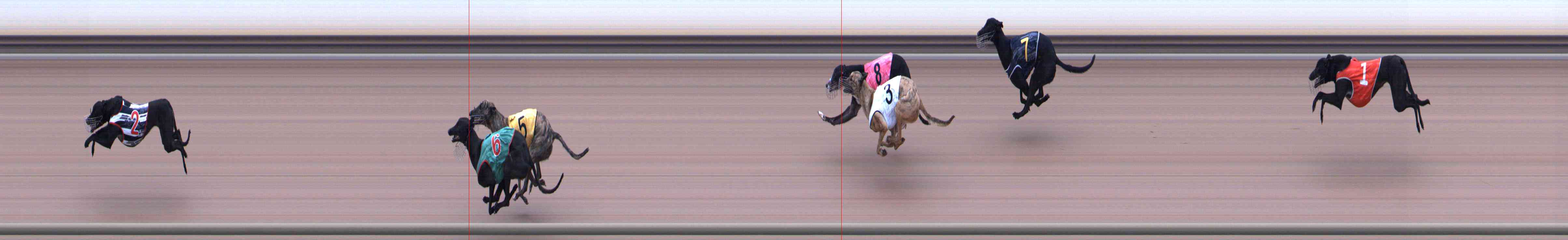 Photo finish for Healesville Race 2