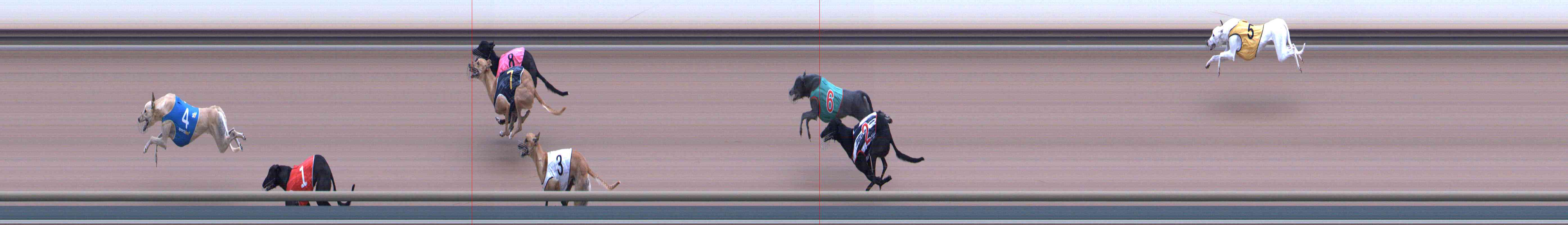 Photo finish for Healesville Race 4