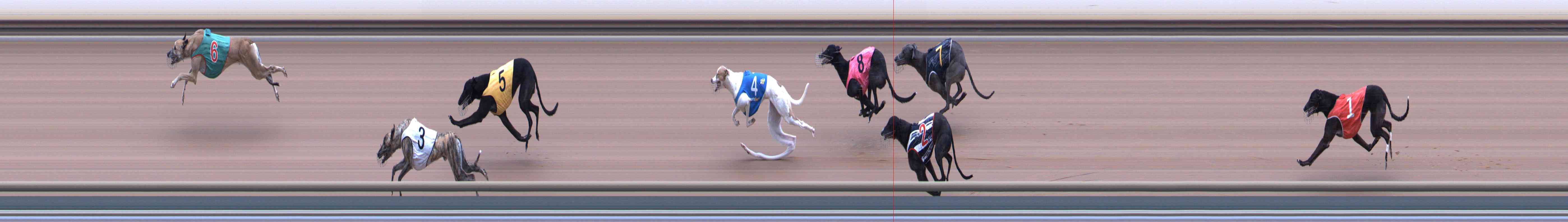 Photo finish for Healesville Race 5