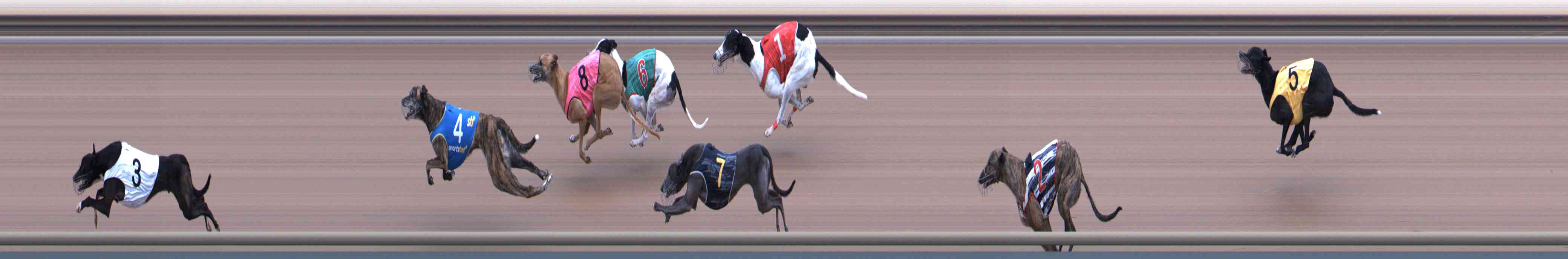 Photo finish for Healesville Race 6