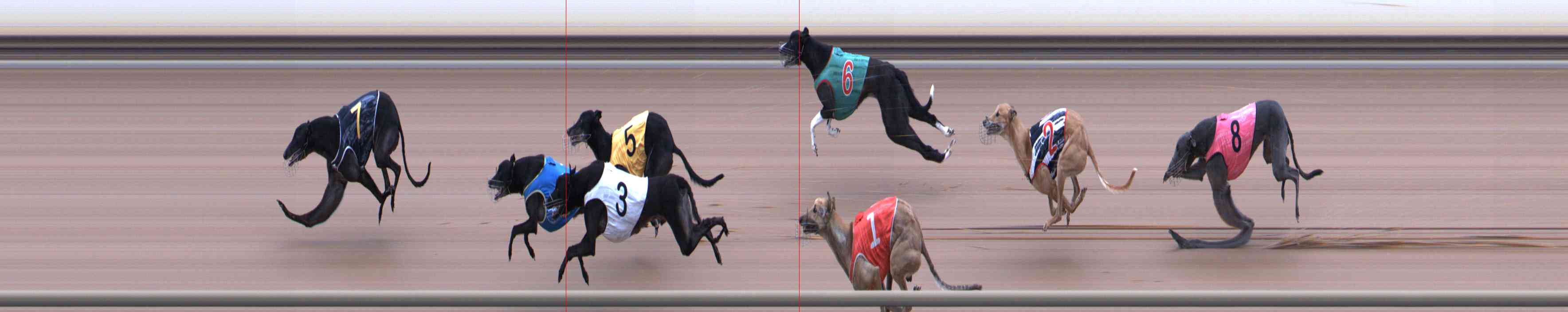 Photo finish for Healesville Race 7