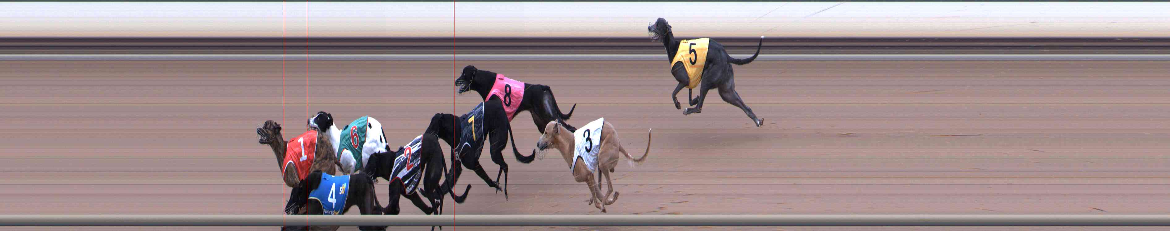 Photo finish for Healesville Race 8