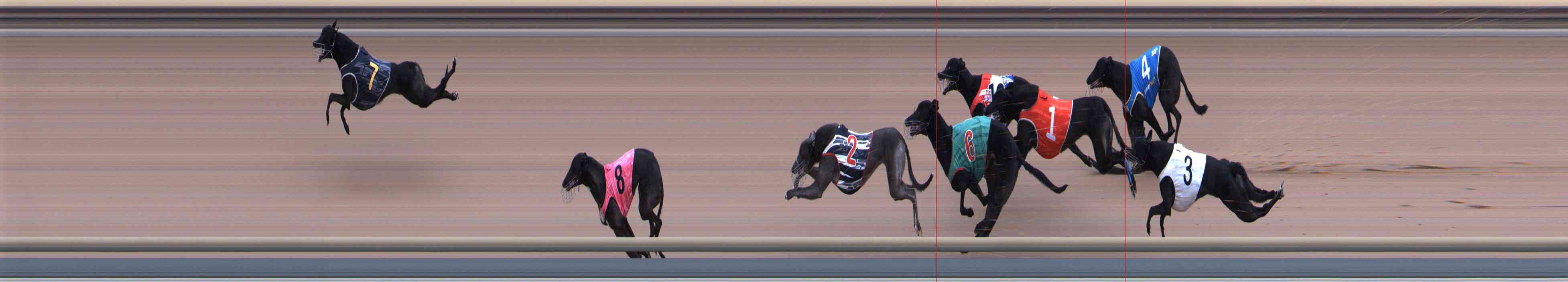 Photo finish for Healesville Race 10