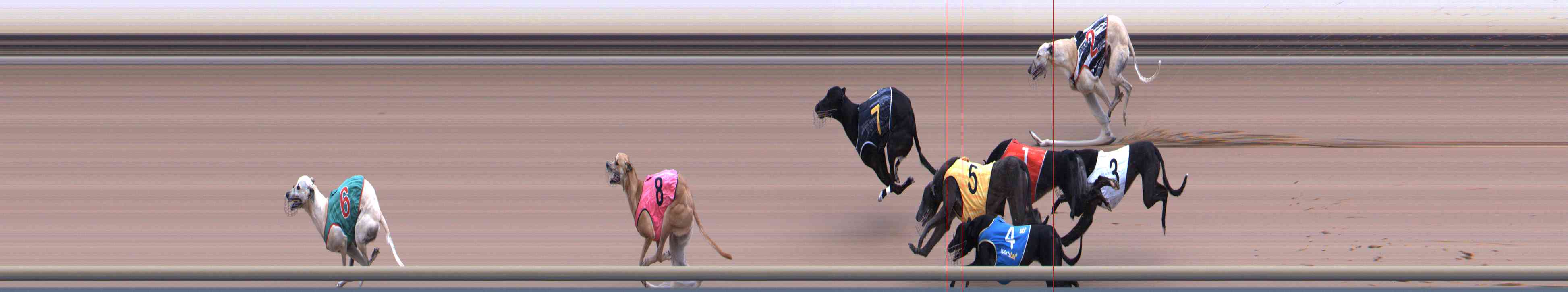 Photo finish for Healesville Race 11