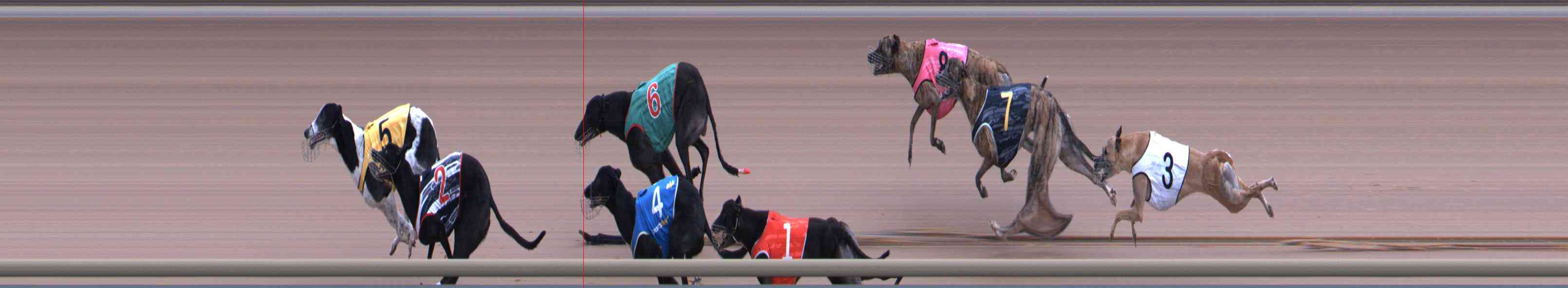 Photo finish for Healesville Race 2