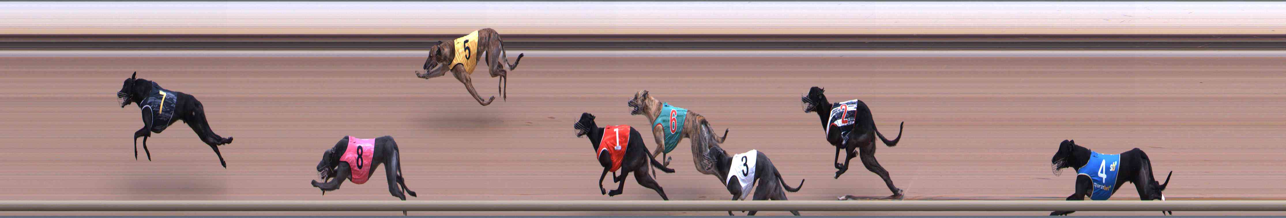 Photo finish for Healesville Race 3