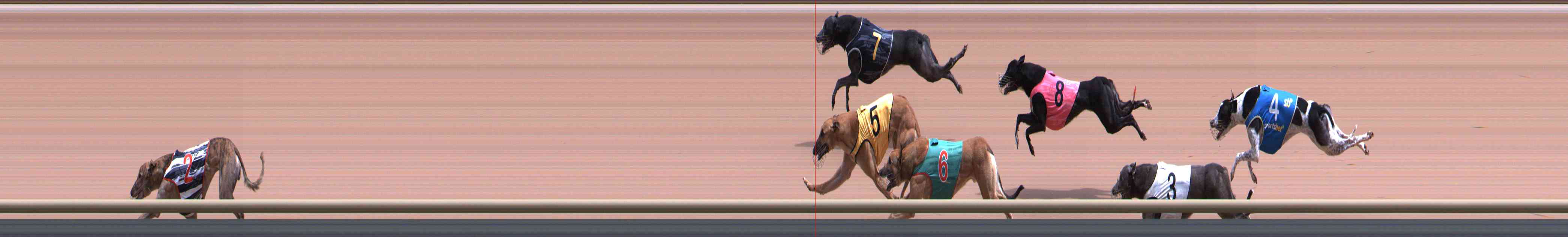 Photo finish for Healesville Race 4