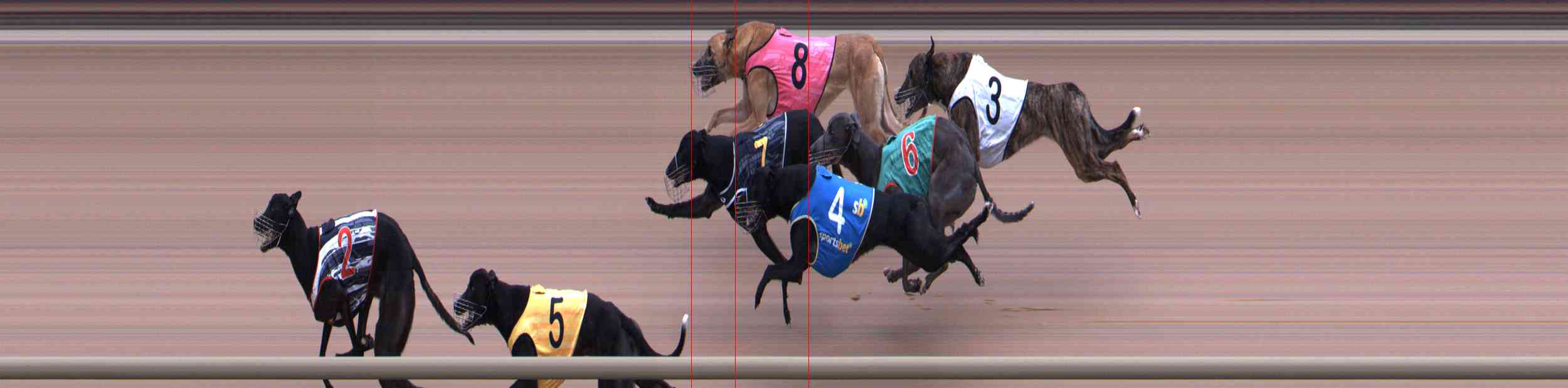 Photo finish for Healesville Race 5