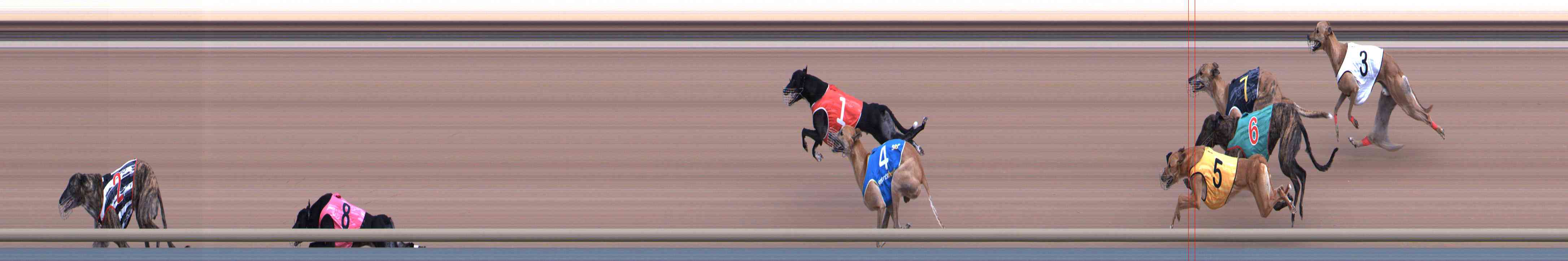 Photo finish for Healesville Race 6