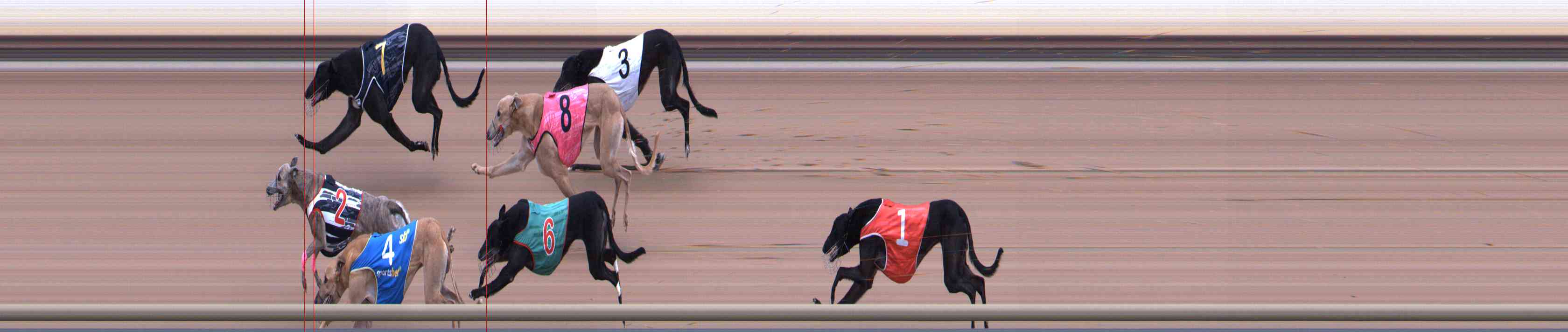 Photo finish for Healesville Race 8