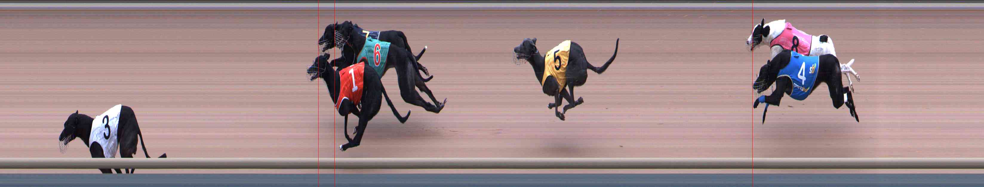 Photo finish for Healesville Race 9